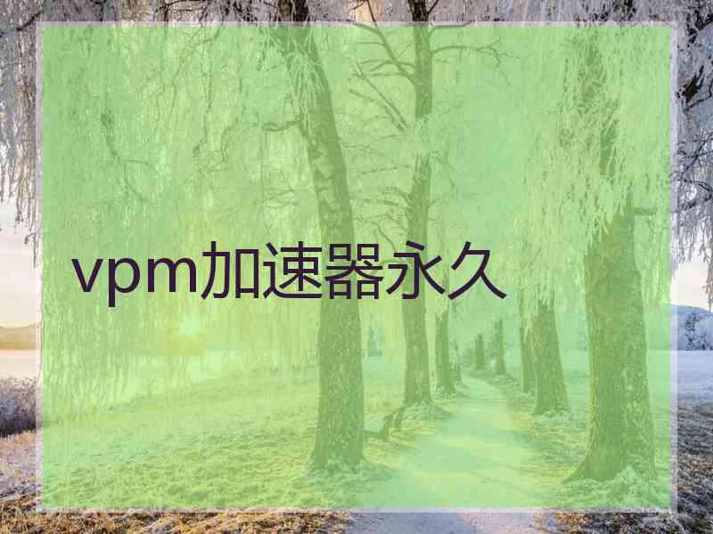 vpm加速器永久