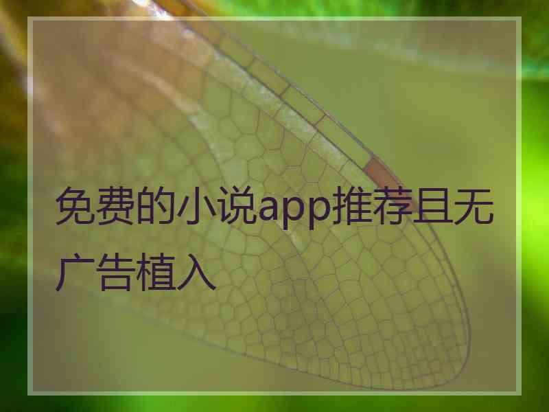 免费的小说app推荐且无广告植入