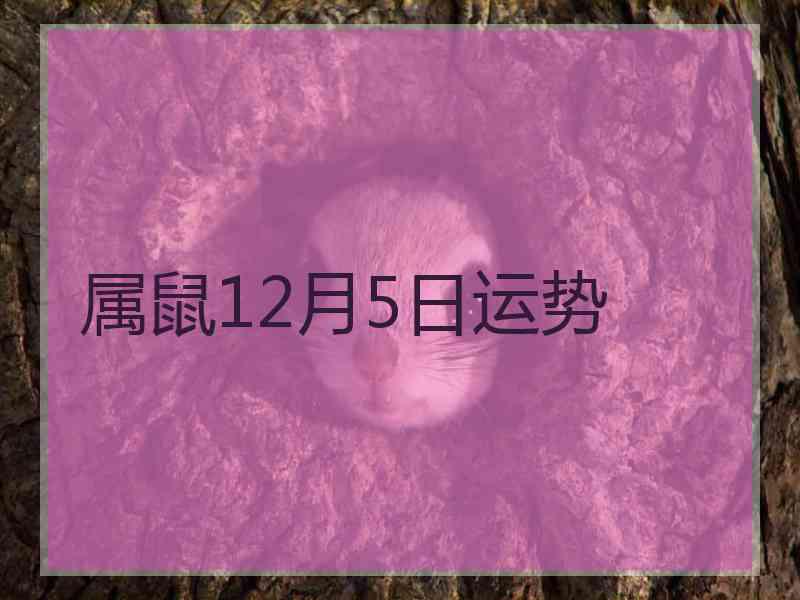 属鼠12月5日运势