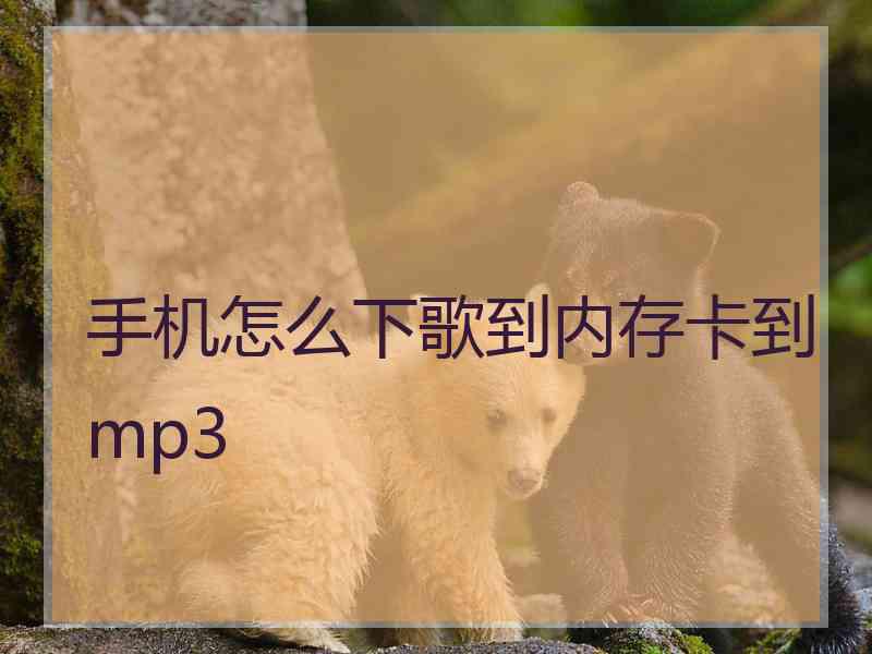 手机怎么下歌到内存卡到mp3