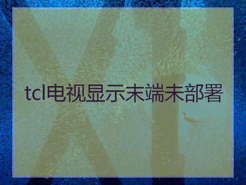 tcl电视显示末端未部署