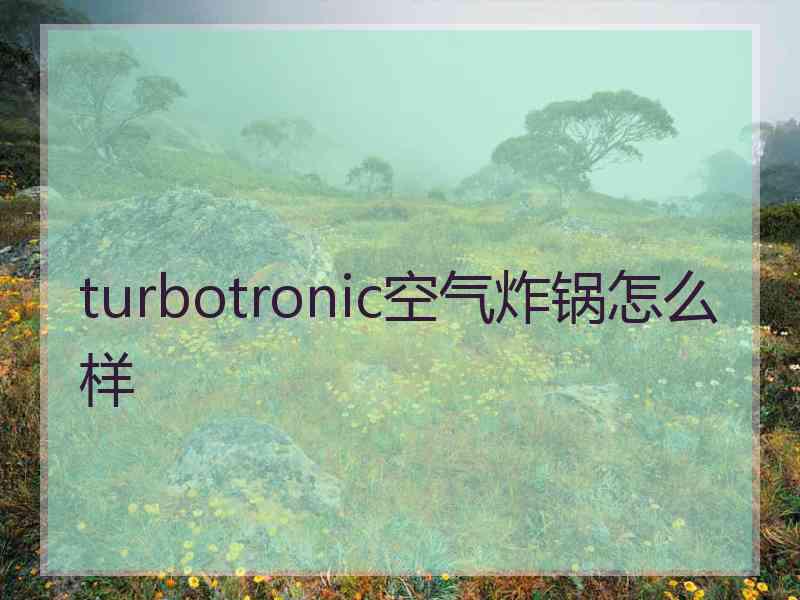 turbotronic空气炸锅怎么样