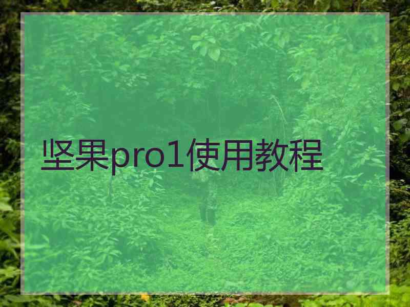 坚果pro1使用教程