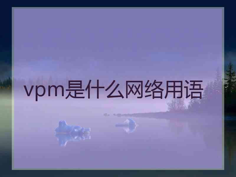 vpm是什么网络用语