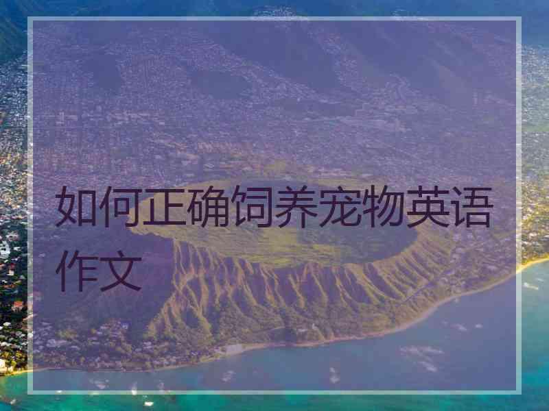 如何正确饲养宠物英语作文