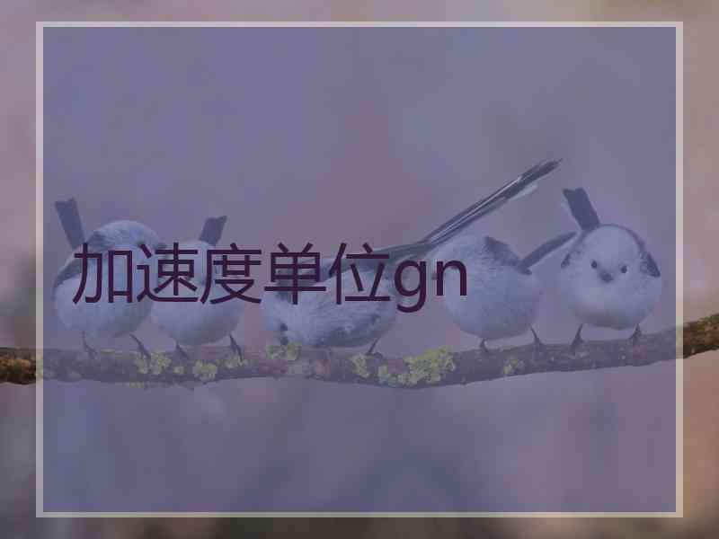 加速度单位gn