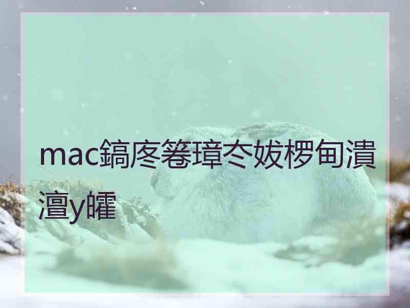 mac鎬庝箞璋冭妭椤甸潰澶у皬