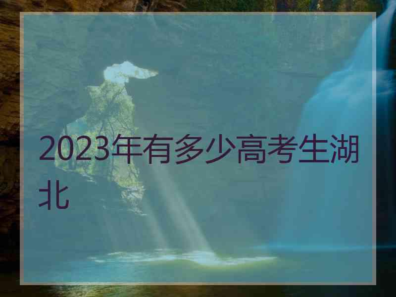 2023年有多少高考生湖北