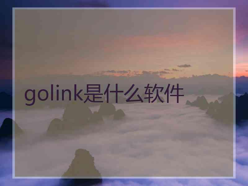 golink是什么软件