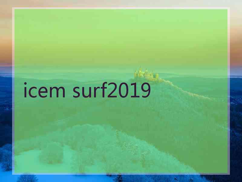 icem surf2019