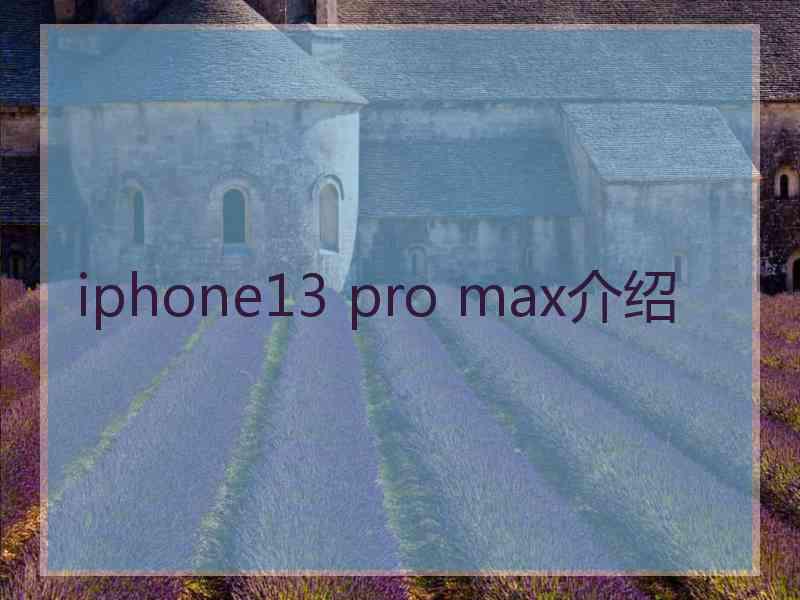 iphone13 pro max介绍