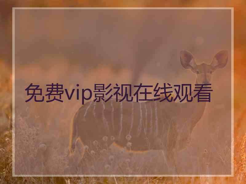 免费vip影视在线观看