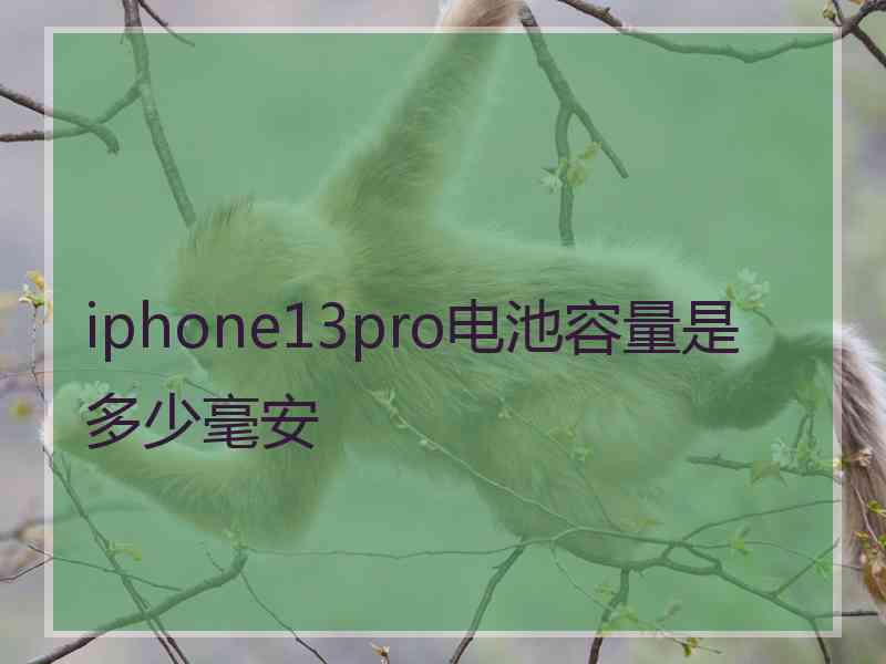 iphone13pro电池容量是多少毫安