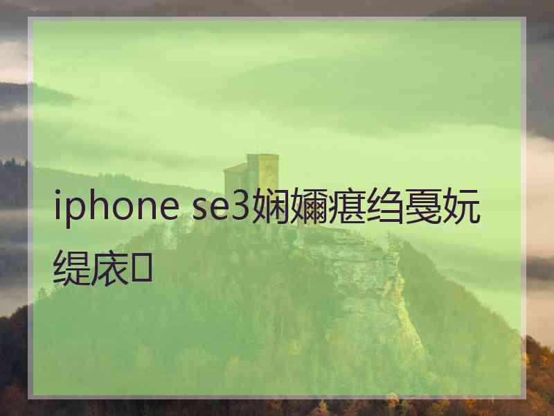 iphone se3娴嬭瘎绉戞妧缇庡