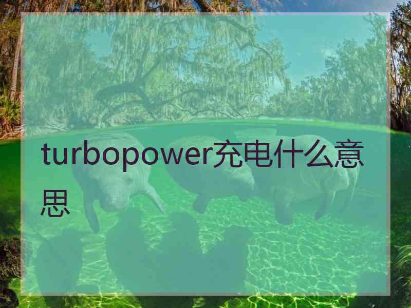 turbopower充电什么意思