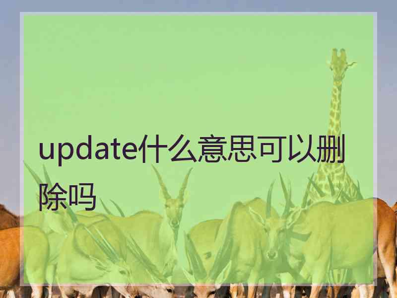 update什么意思可以删除吗