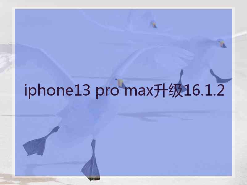 iphone13 pro max升级16.1.2