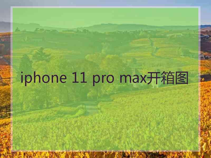 iphone 11 pro max开箱图