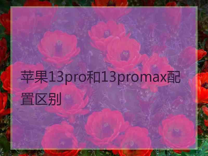 苹果13pro和13promax配置区别