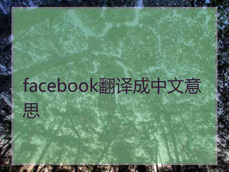 facebook翻译成中文意思