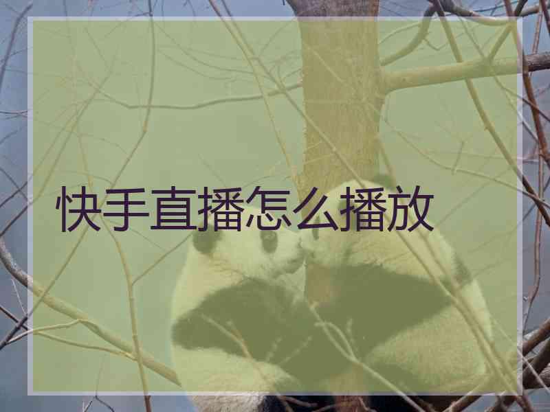 快手直播怎么播放