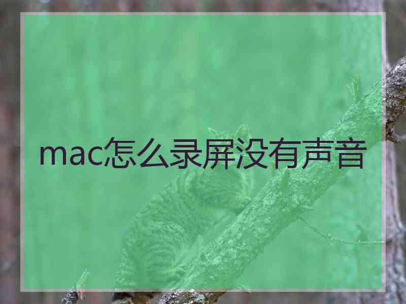 mac怎么录屏没有声音