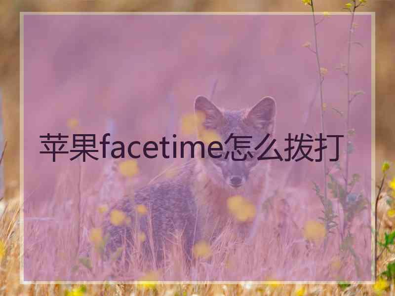 苹果facetime怎么拨打