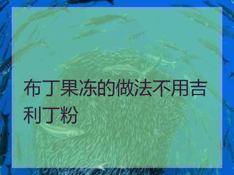 布丁果冻的做法不用吉利丁粉