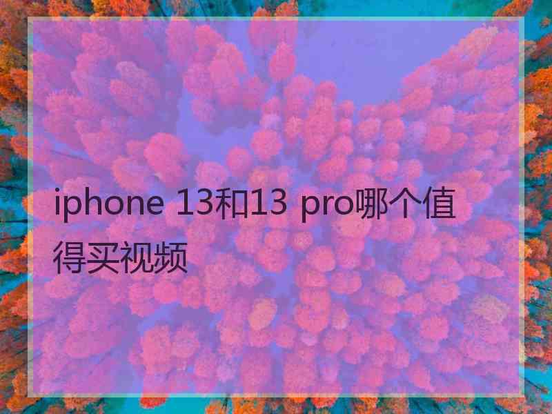 iphone 13和13 pro哪个值得买视频