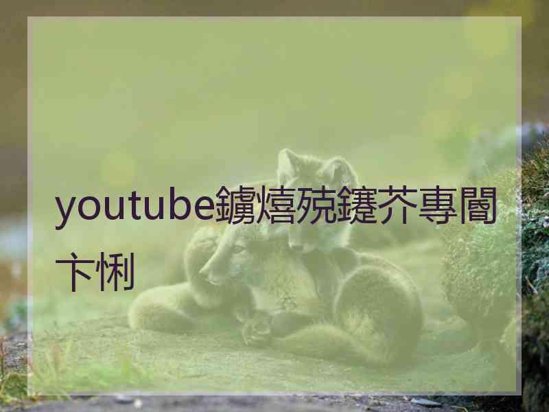 youtube鐪熺殑鑳芥專閽卞悧