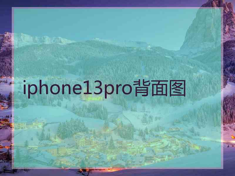 iphone13pro背面图