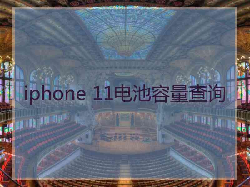 iphone 11电池容量查询