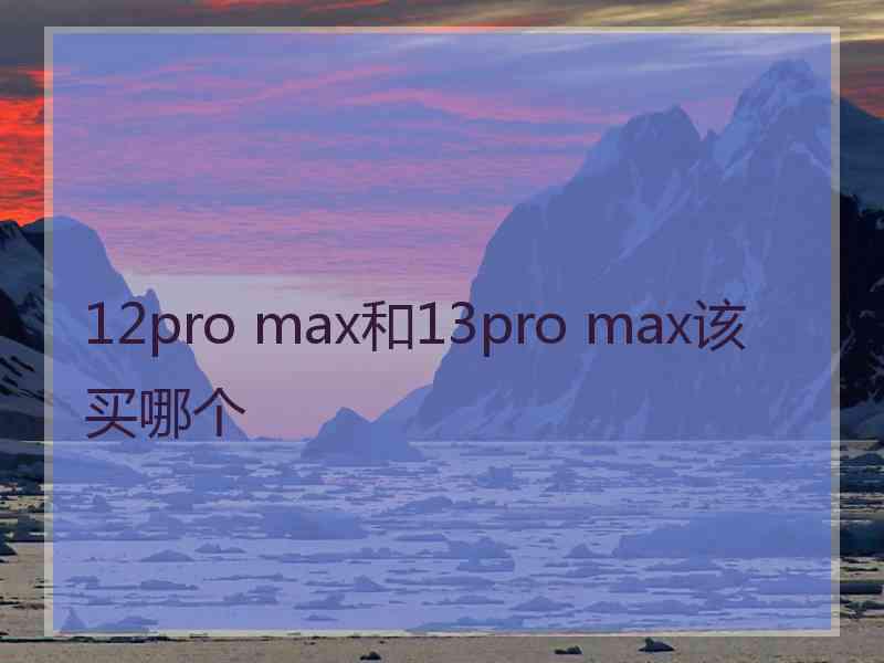 12pro max和13pro max该买哪个