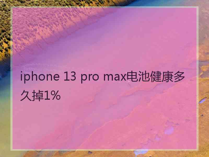 iphone 13 pro max电池健康多久掉1%