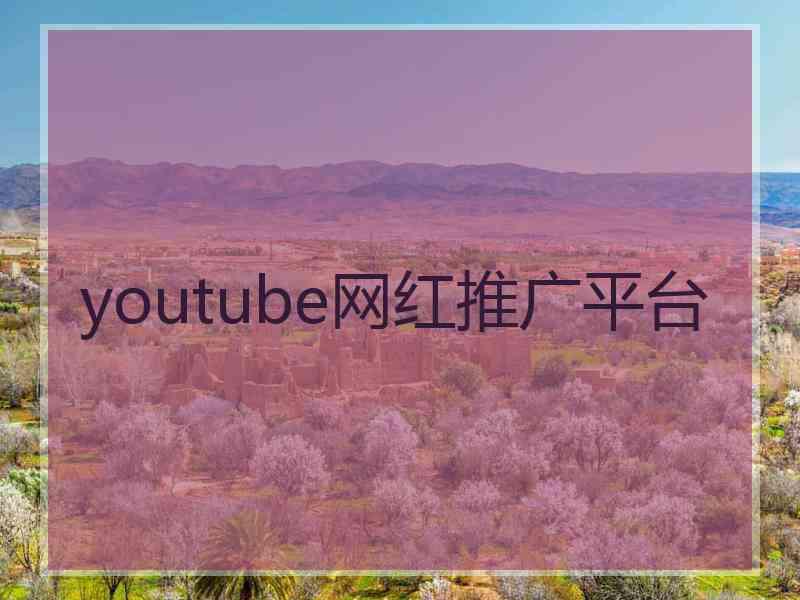 youtube网红推广平台