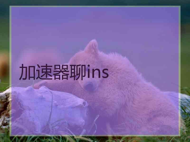 加速器聊ins