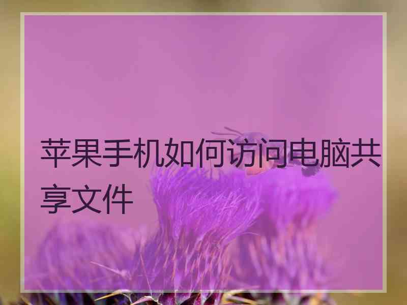 苹果手机如何访问电脑共享文件