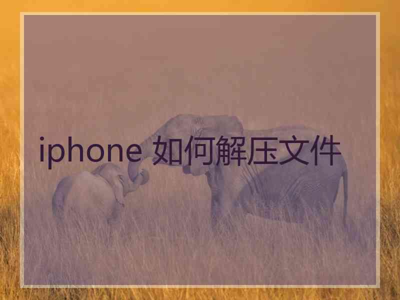 iphone 如何解压文件