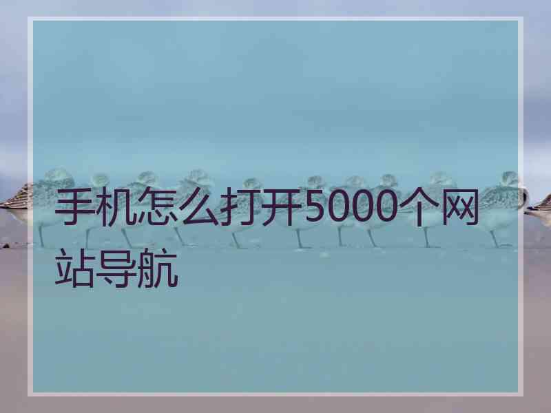 手机怎么打开5000个网站导航