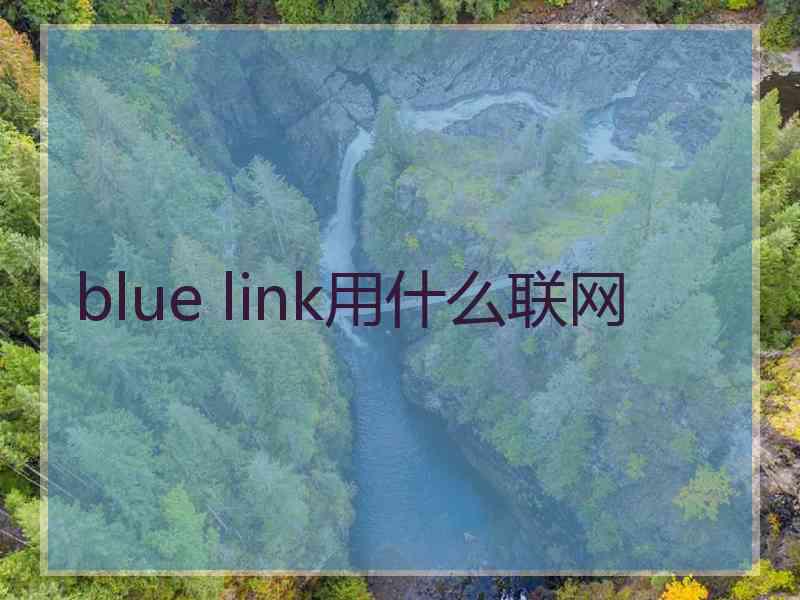 blue link用什么联网