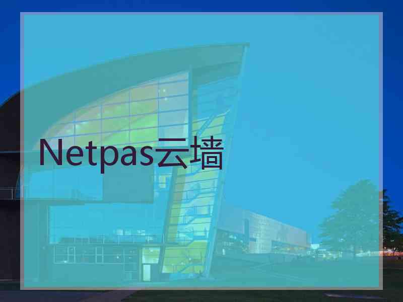 Netpas云墙