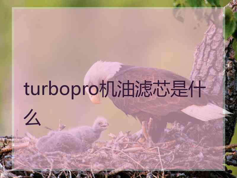 turbopro机油滤芯是什么