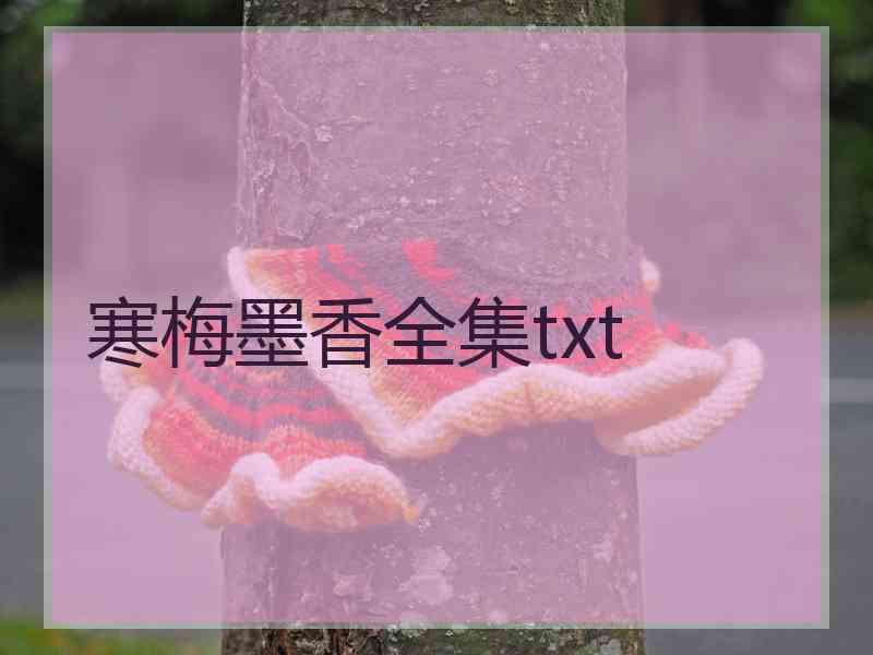 寒梅墨香全集txt