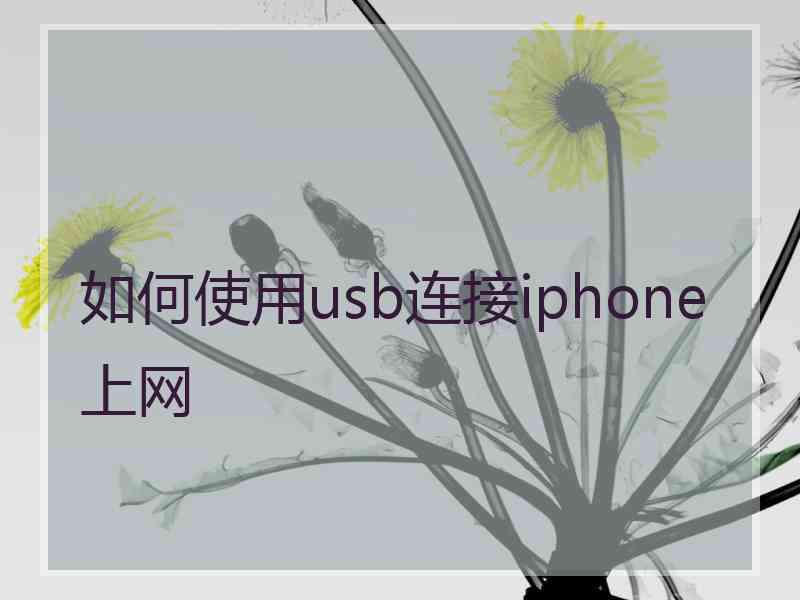 如何使用usb连接iphone上网