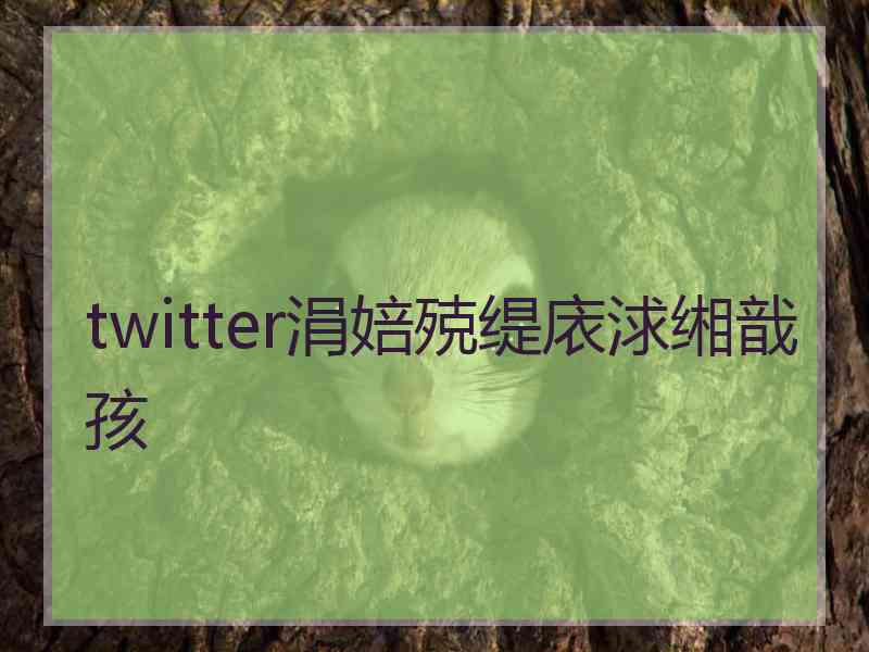 twitter涓婄殑缇庡浗缃戠孩