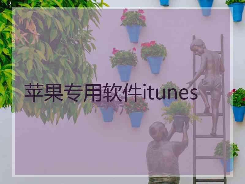 苹果专用软件itunes