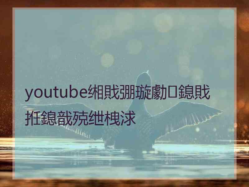 youtube缃戝弸璇勮鎴戝拰鎴戠殑绁栧浗