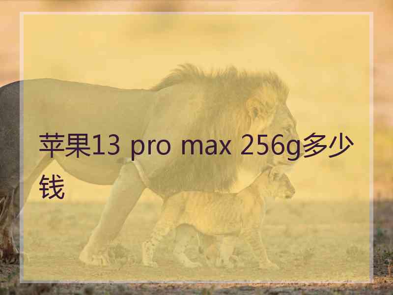 苹果13 pro max 256g多少钱