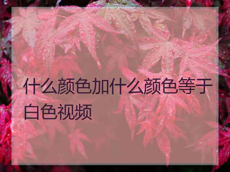 什么颜色加什么颜色等于白色视频