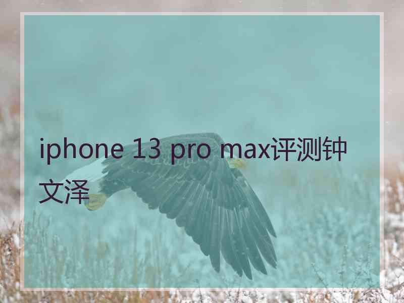 iphone 13 pro max评测钟文泽